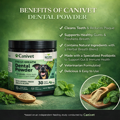 Advanced+ Dog Powder